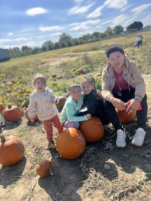 Pumpkin patch