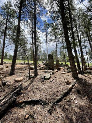 Davis Ponds Loop Trail