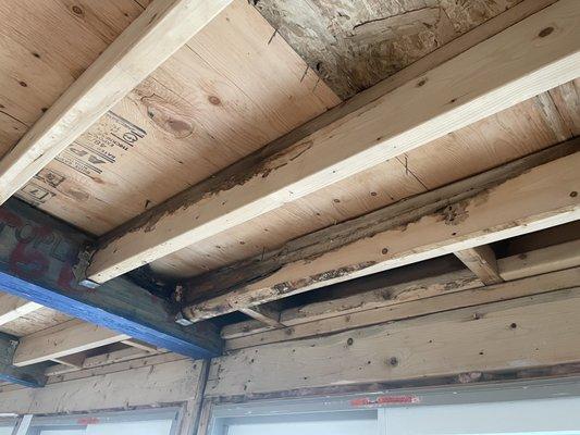 Water damage to ceiling joists and main LVL beam directly below the sheathing that they replaced, which they failed to tell us.