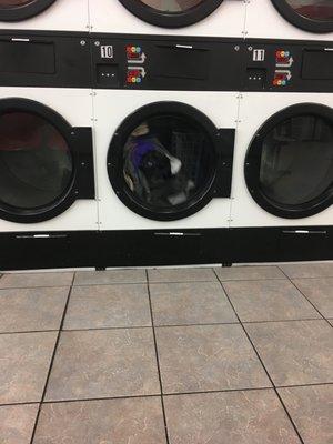 30 min dry cycle - free washer