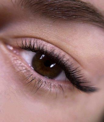 The best lash extensions for your