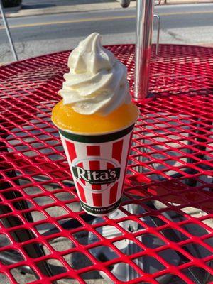 Large Mango Gelati