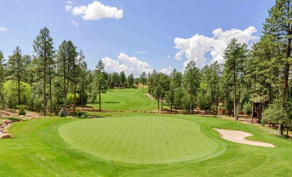 Chaparral Pines