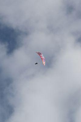 Black Mountain Paragliding Port, Gliderport of Black Mountain, Black Mountain Park