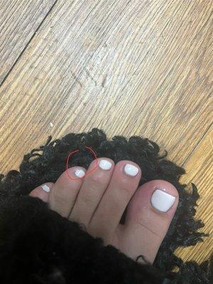 $53 pedicure doesn't even deserve shape fixing