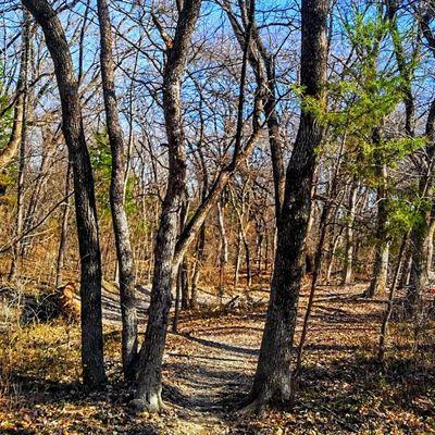 Erwin Park