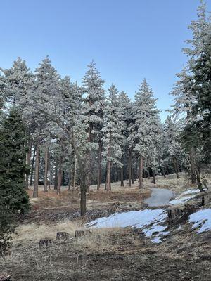 Tehachapi Mountain Park