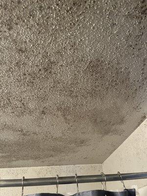 Mold on ceiling and down walls of shower