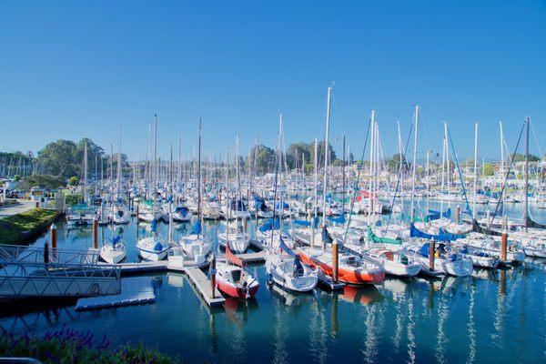 Santa Cruz Harbor - Sail Away!