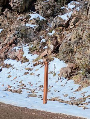 Waterton Canyon