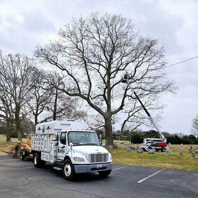 Jeff's Tree Service