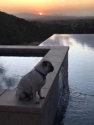 A California sunset embraces this infinity pool in the hills of Yucaipa