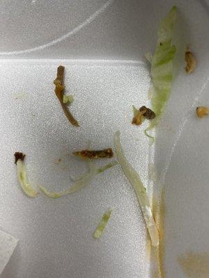 Bones I found in my chicken burrito