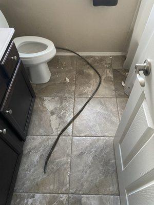 Snake broke thru the toilet