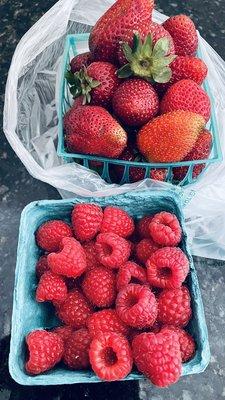 The strawberries and raspberries.