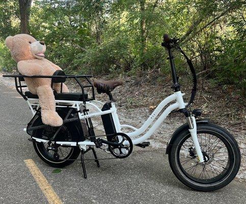 Single and Double Cargo Ebikes where the Children ride on the back