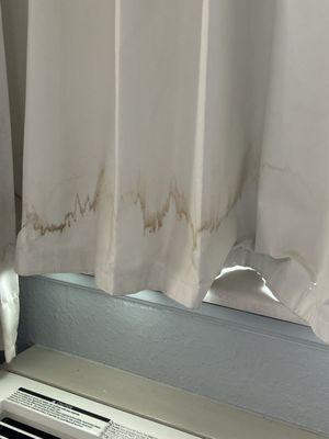 Stained curtains from ??? Dookie ??? Question mark ???