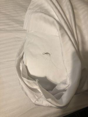 Gob of hair found inside the pillow case...