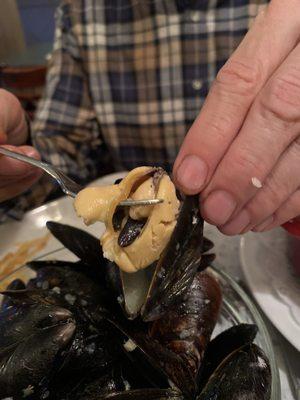 Look at the size of the mussels!! Huge