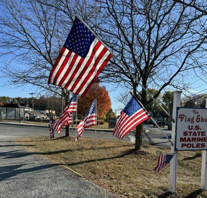 Beautiful flags blowing in the breeze, glowing in the sun.