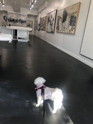 Fendi enjoys a walk through the art gallery