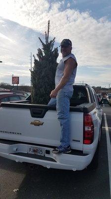 Lsuras christmas tree homedepot woodstock