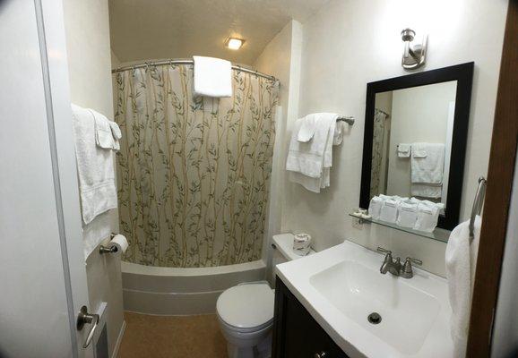 Bathroom in room 1