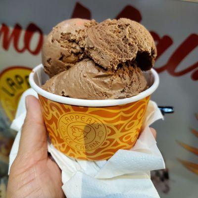 A scoop of macadamia nut chocolate