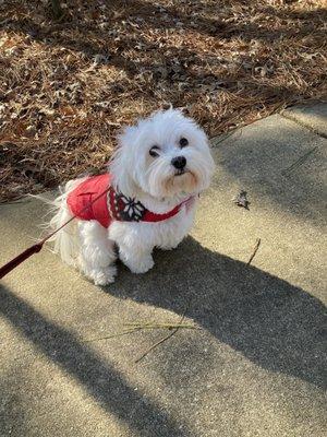 Nash is ready to play with his friends!