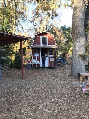 Cashier shed.