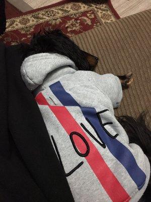 Deeply napping in his favorite hoodie. Boetie, are you breathing?