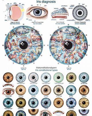 Chart Iridology therapy