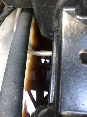 Came for an annual service and found all my oil at the bottom of engine. Oil stick had no oil.