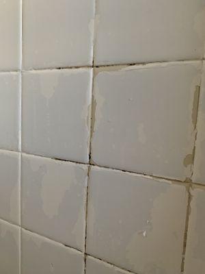 Mold in between tiles