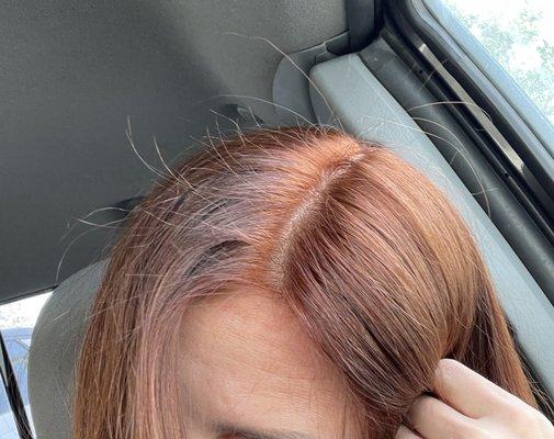 Immediately after leaving the salon. Line of demarcation, hot roots and blotchy color