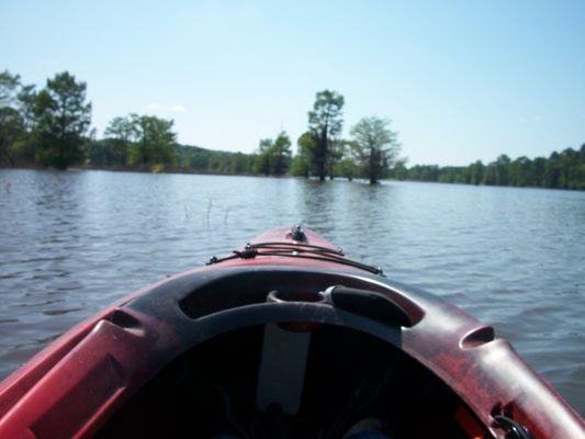 Lake Bistineau State Park