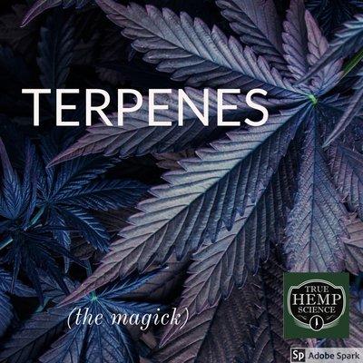 True Hemp Science CBD - Dropbox