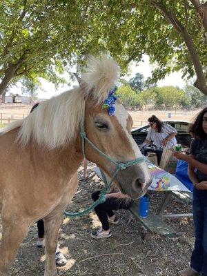 Eli is attending his new owner Alexianna's birthday!