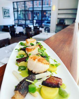 Scallops