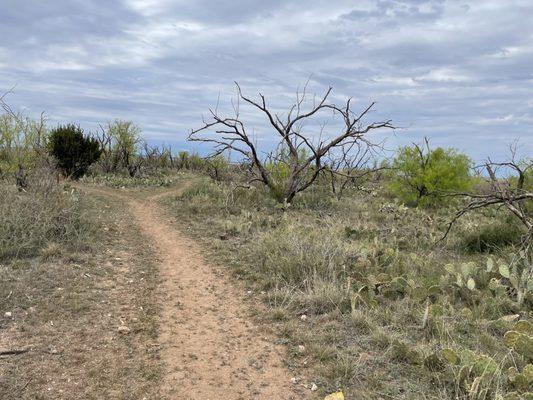 Roadrunner trail