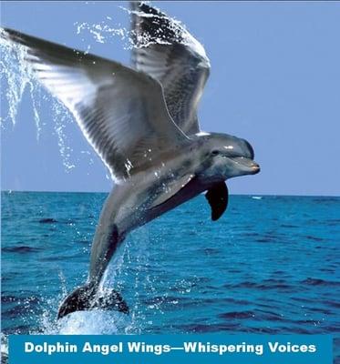 Dolphin Angel Wings - Whispering Voices - Susanna Joy PhD, D.Min