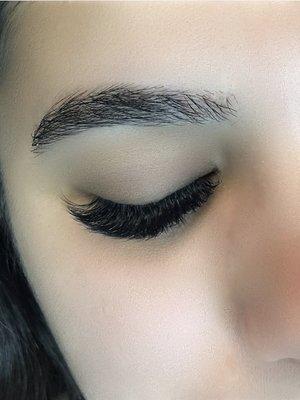 Mega Volume Lashes