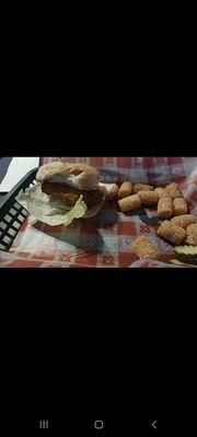 Half fish sandwich and tater tots