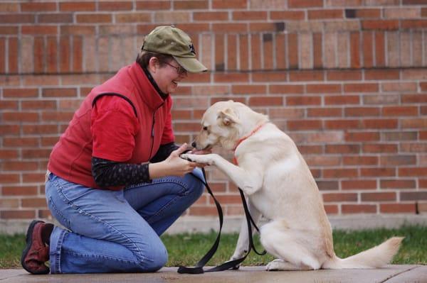 Community Animal Rescue Effort - CARE