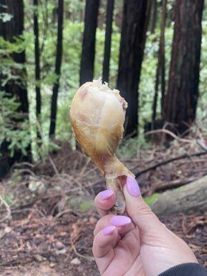 Rotisserie chicken out on a hike lol