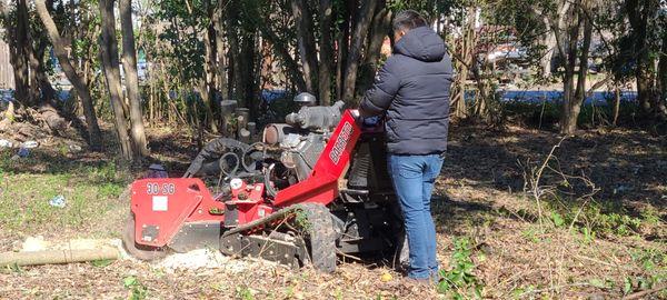 Stump Grinding