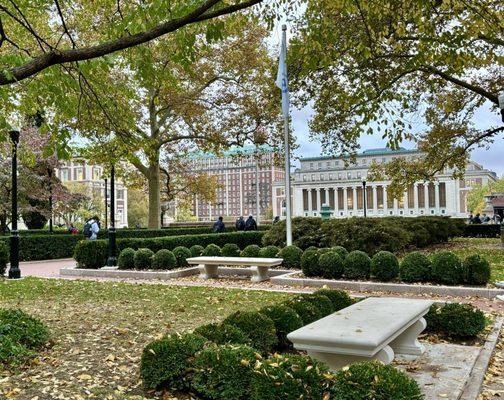 Butler Library from Earl Hall