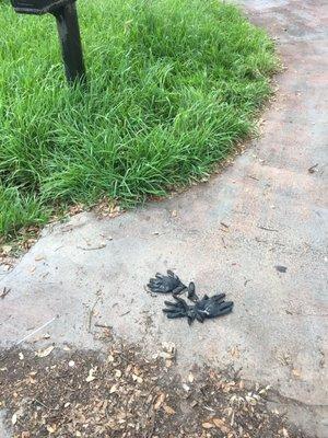 Consistently leaves dirty gloves in my driveway after completing job