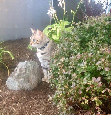 Winnie loving  the fresh air!