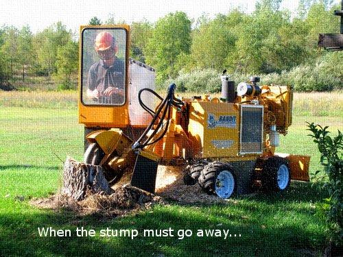 Texas Tree Team - Stump Grinding - Completely remove unwanted stumps safely and quickly.